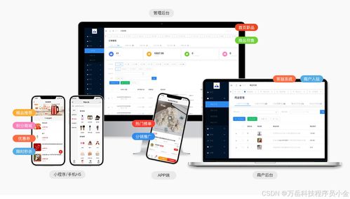 从源码到成品 多商户商城系统与直播商城app的开发实战