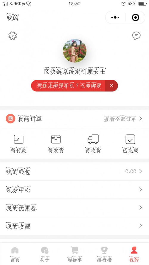 消费返利系统开发 竞拍商城开发 现成源码,价格优惠